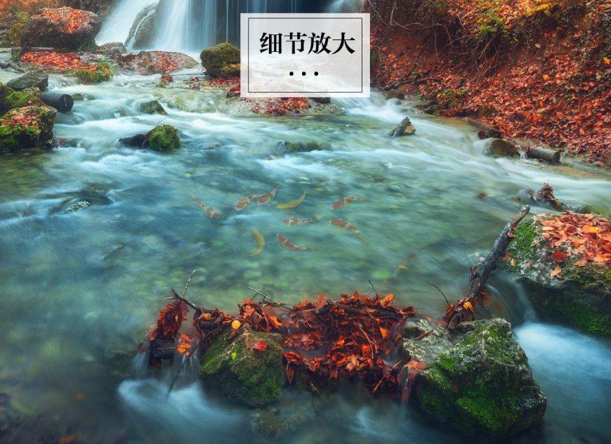 补血吃什么食物最好最快，发现自然界中的补血冠军食材！